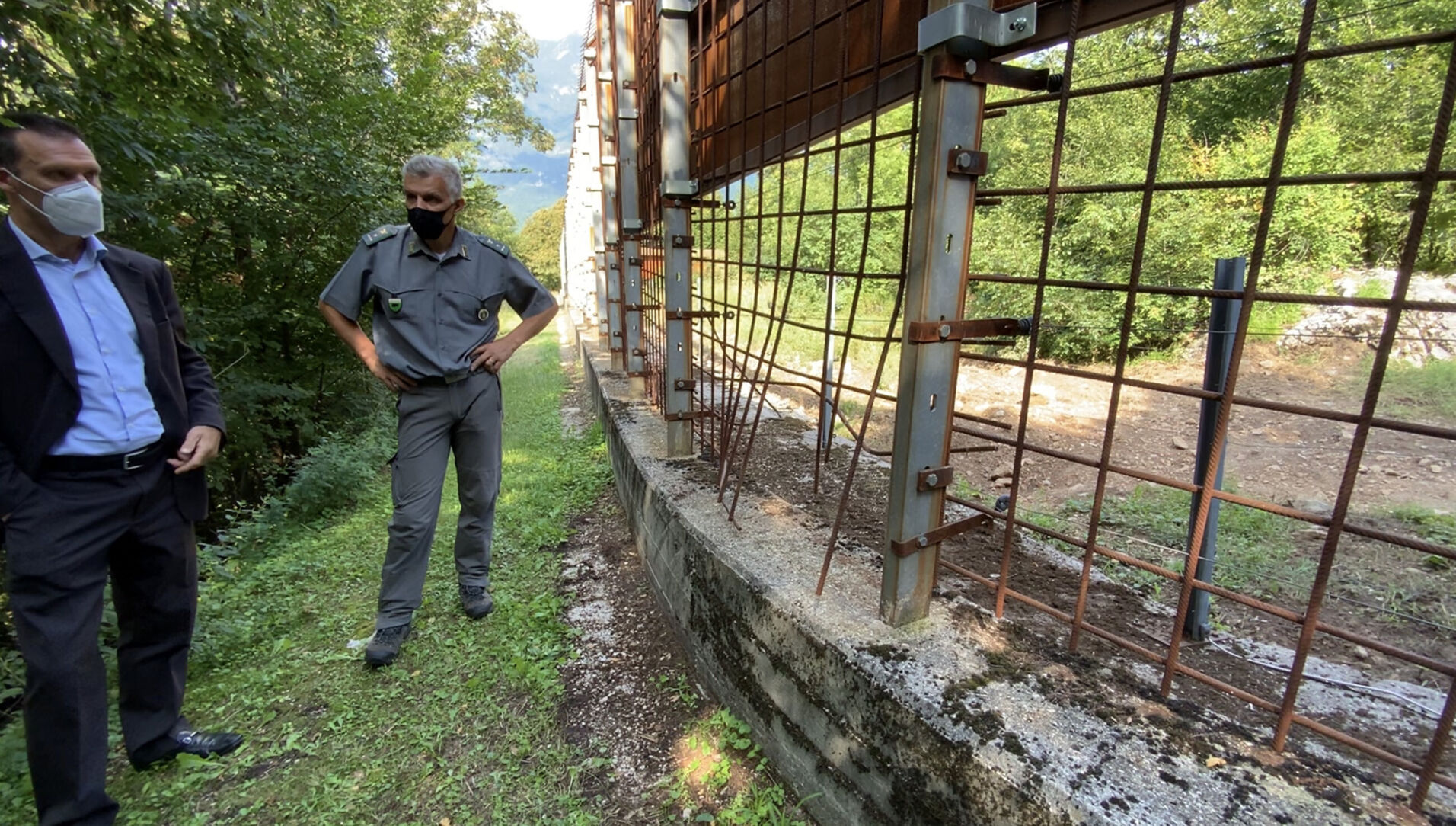 Italy's serial escape artist bear Papillon recaptured after 42 days on the run